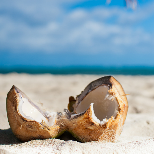 Punta Cana abril 2026