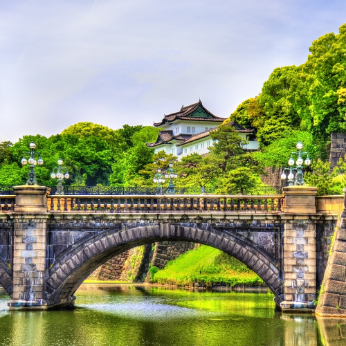 Japón con Cerezos