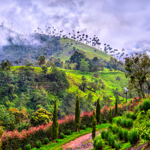 Colombia - Eje Cafetero