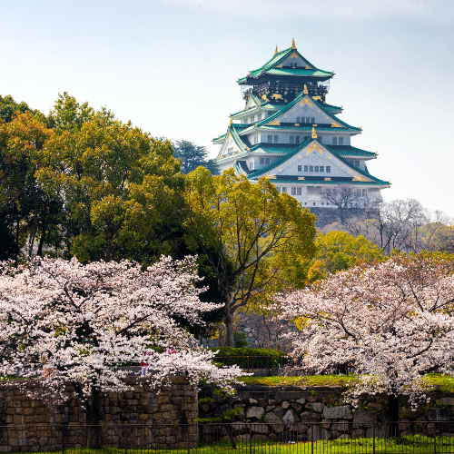 Japón con Cerezos